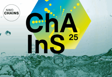 Logo for CHAINS 2025 conference